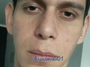 Brandonsex01
