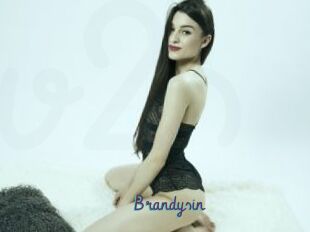 Brandysin
