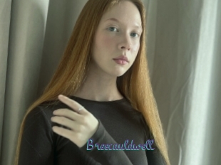 Breecauldwell