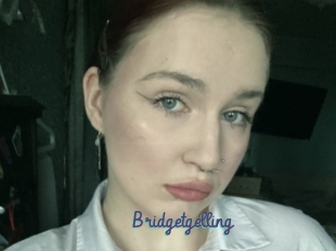 Bridgetgelling