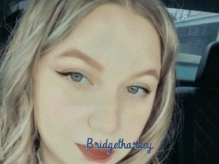 Bridgetharkey