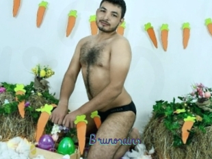 Brunosains