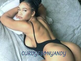CURVYEBONYANDY