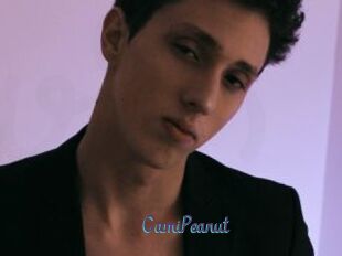CamiPeanut