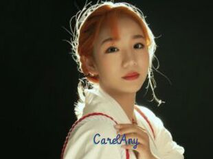 CarelAny