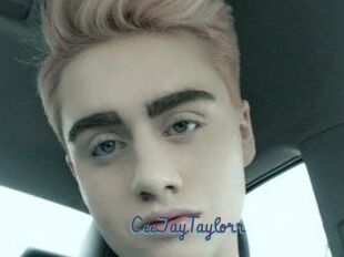 CeeJayTaylorr