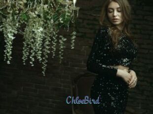 ChloeBird