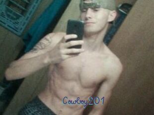 Cowboy201