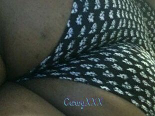 CurvyXXX