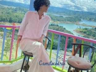 Camilecedrik