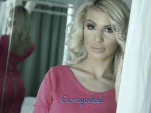 Casseyvelvet