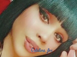 Catalina_fox