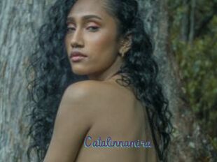 Catalinnamira