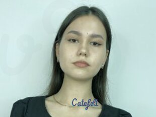 Catefelt