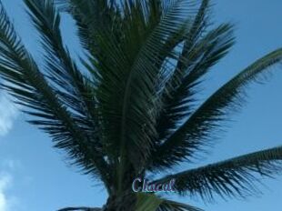 Chacul