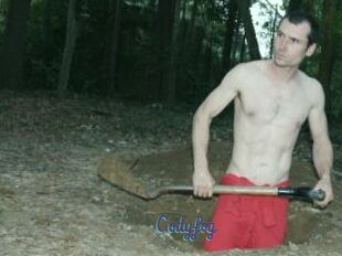 Codyfog
