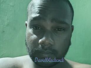 Davidblackcock