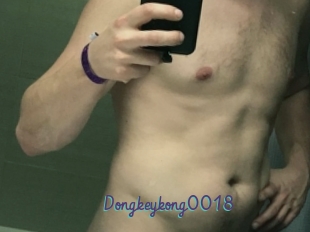 Dongkeykong0018