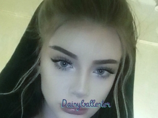 Daisyballester