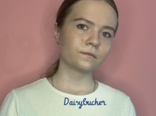 Daisybucher