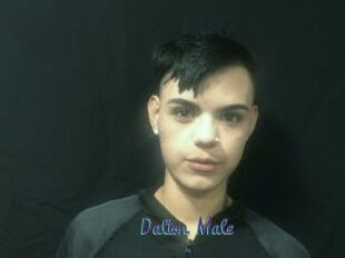 Dalton_Male
