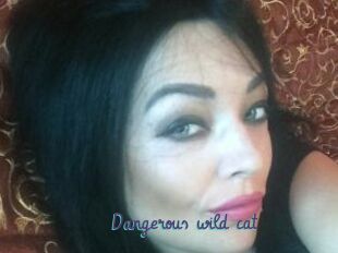 Dangerous_wild_cat