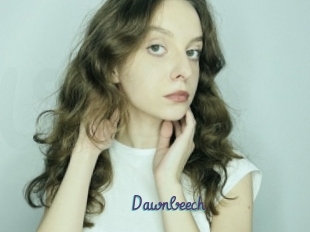 Dawnbeech