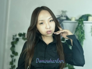 Dominoharber
