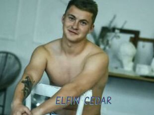 ELFIN_CEDAR
