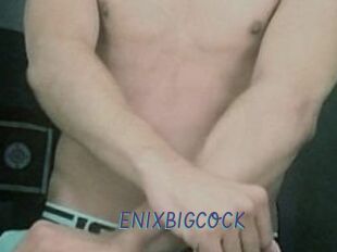 ENIXBIGCOCK