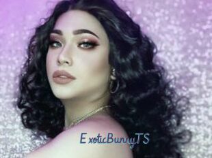 ExoticBunnyTS