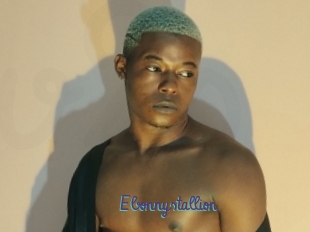 Ebonnystallion