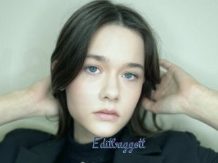 Editbaggott
