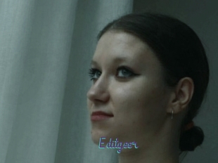 Editgeer