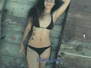 Elektradirtys