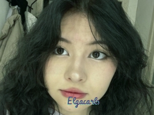 Elgacarls