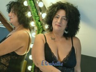 Elisahattie