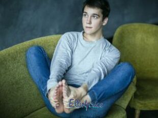 Elliotprice