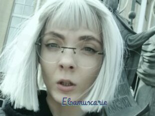 Elsamuscarie