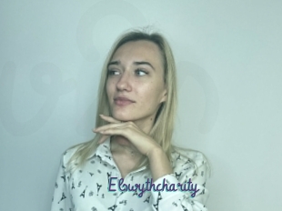 Elswythcharity