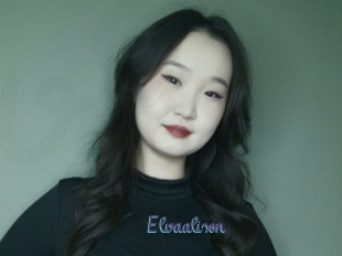 Elvaalison