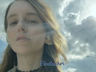 Elvabucher