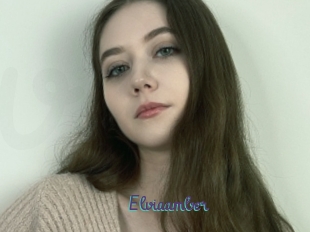 Elviaamber