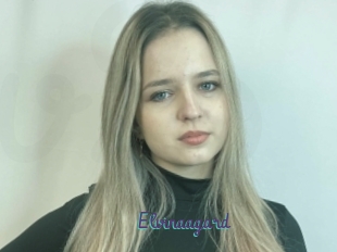 Elvinaagard