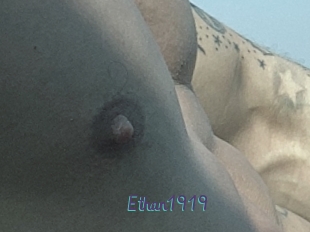 Ethan1919