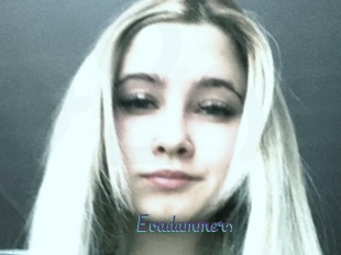 Evadammers