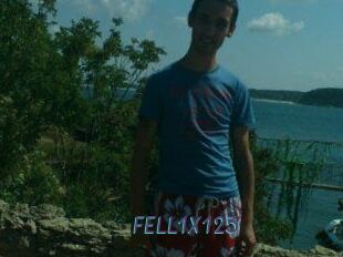 FELL1X123