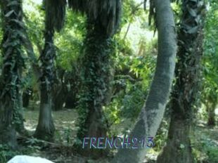FRENCH213