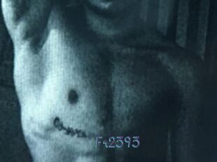 Fr2393