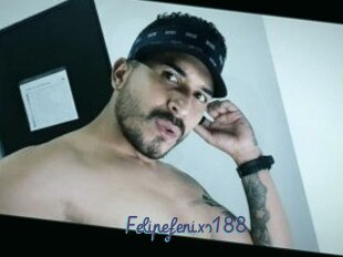 Felipefenixs188